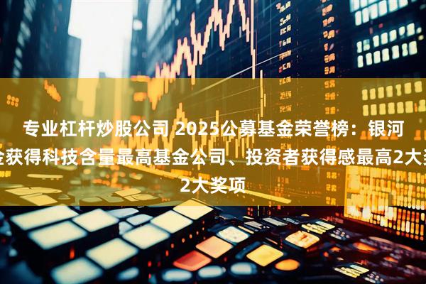 专业杠杆炒股公司 2025公募基金荣誉榜：银河基金获得科技含量最高基金公司、投资者获得感最高2大奖项
